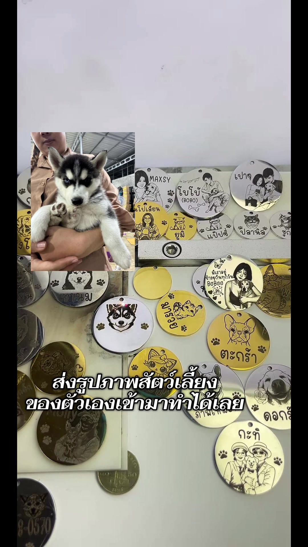 @DIYอุปกรณ์สัตว์เลี้ยง