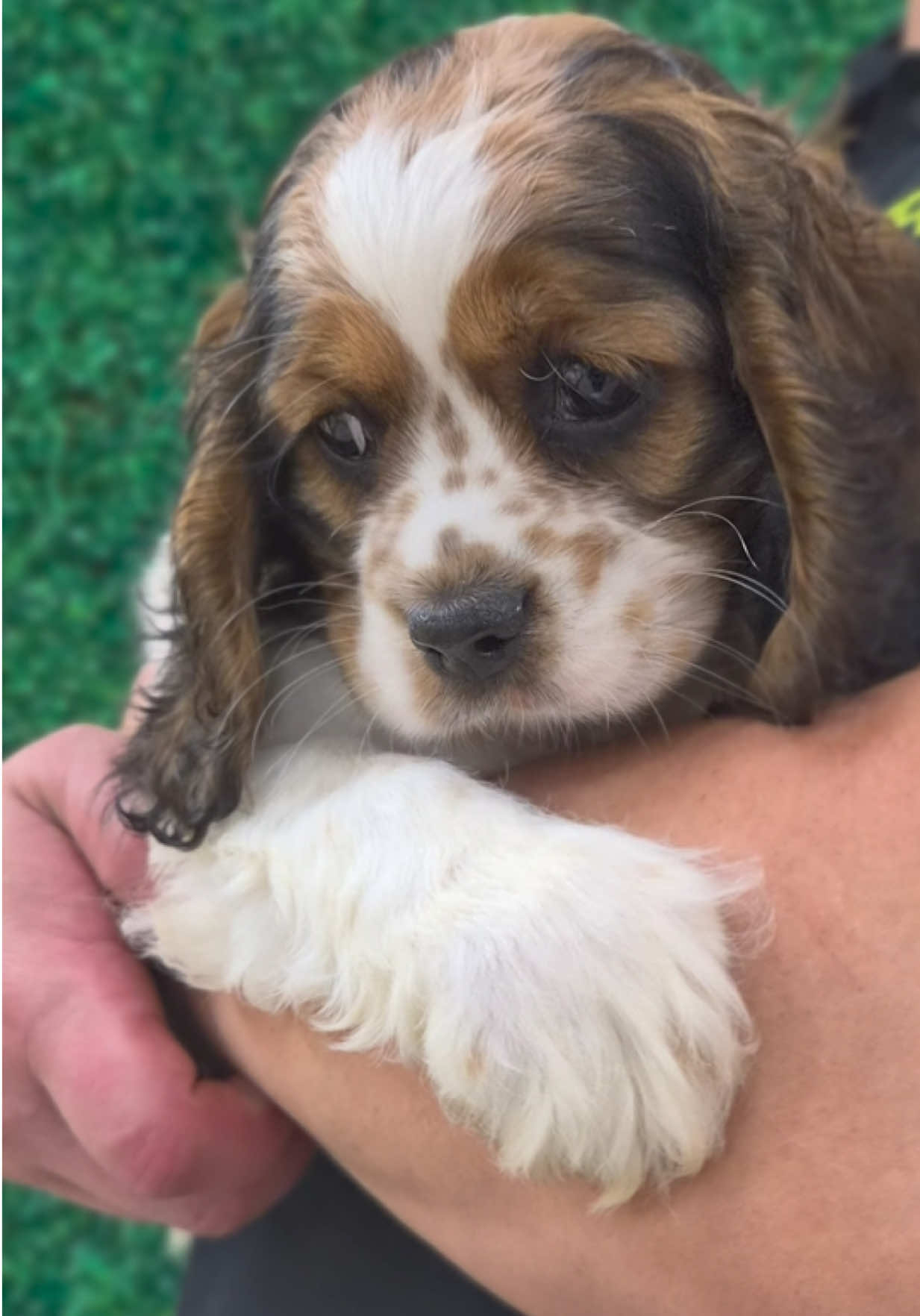 @Petland Oklahoma City