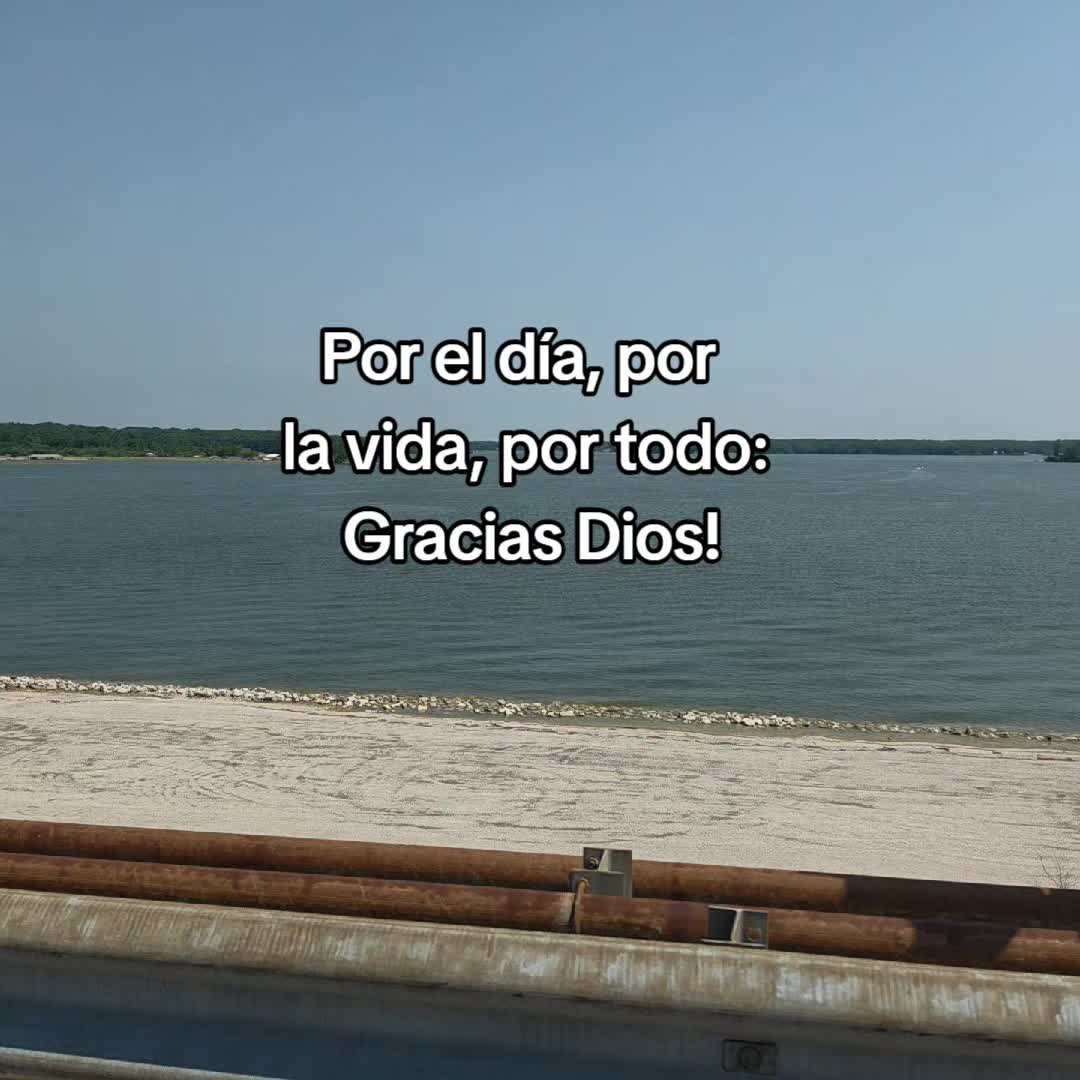 @Mayra Krystel