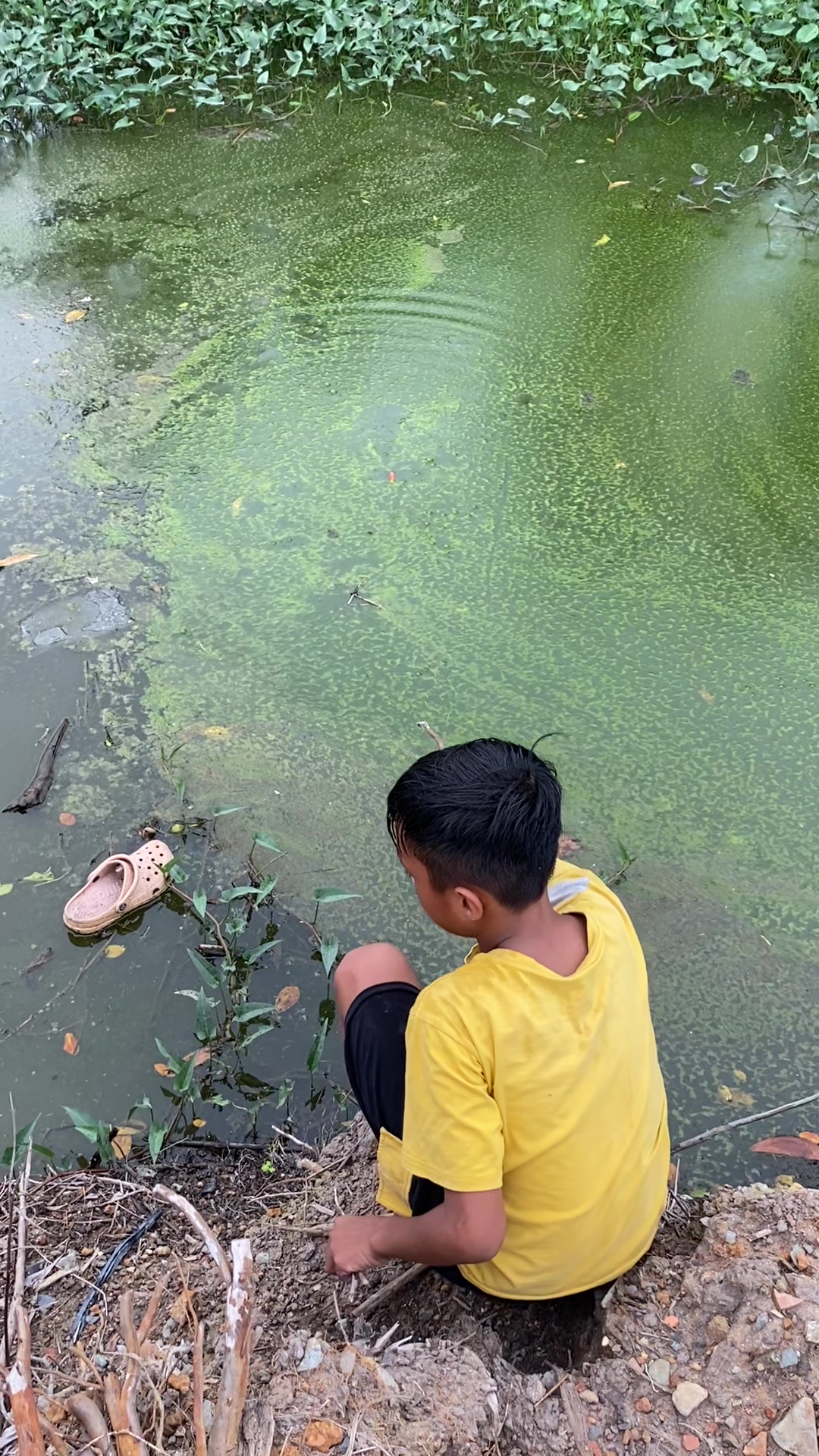@Thả diều cùng Lợi