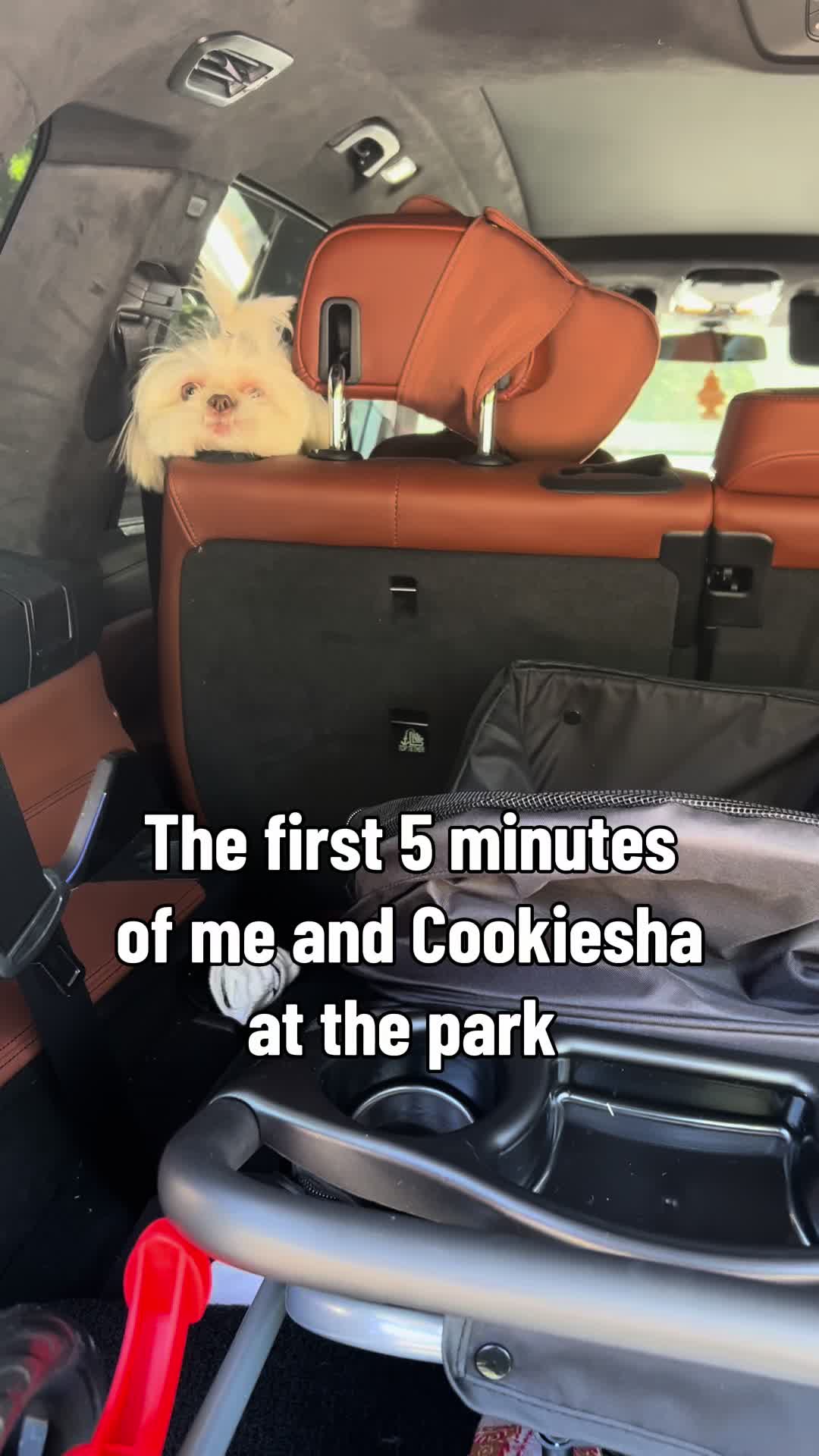 @nitaandcookiesha