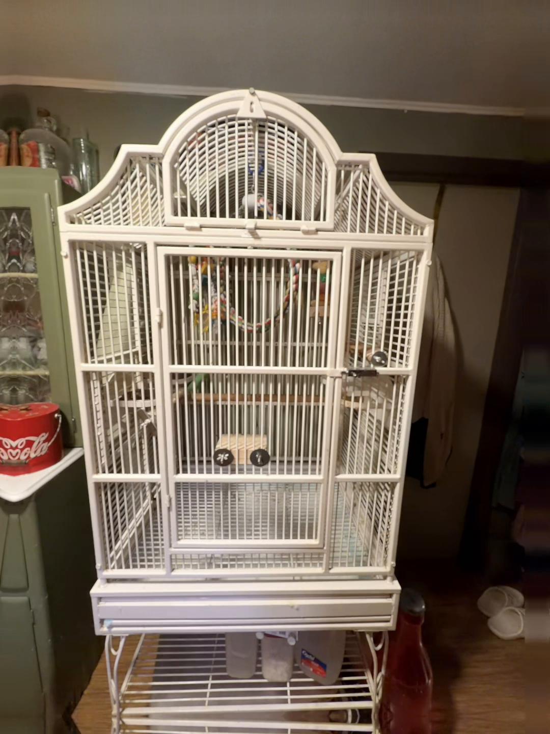 @CrystalParrot🦜💜🦜🍪🍨