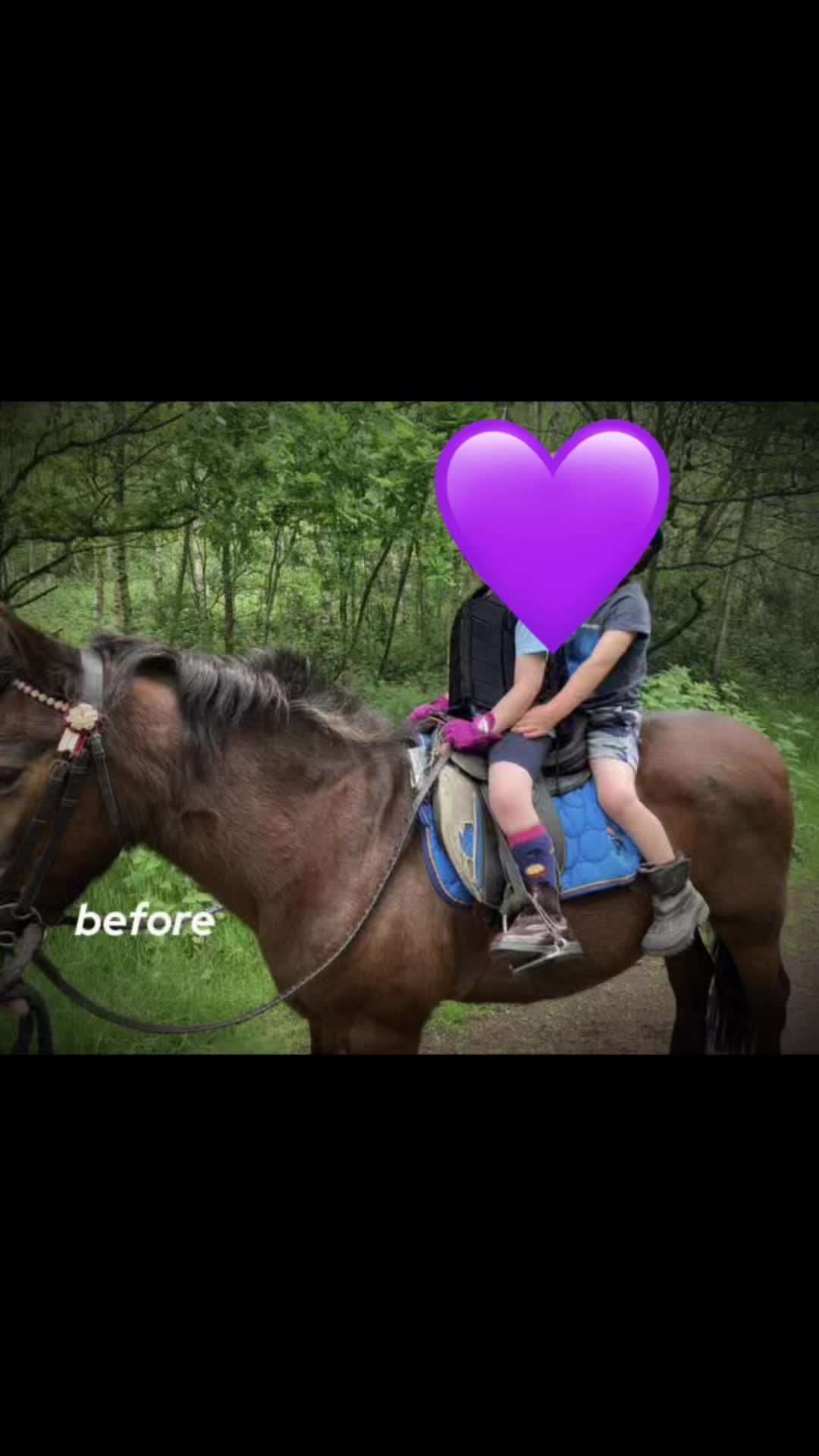 @LottiesHorseAdventures🦄🐴