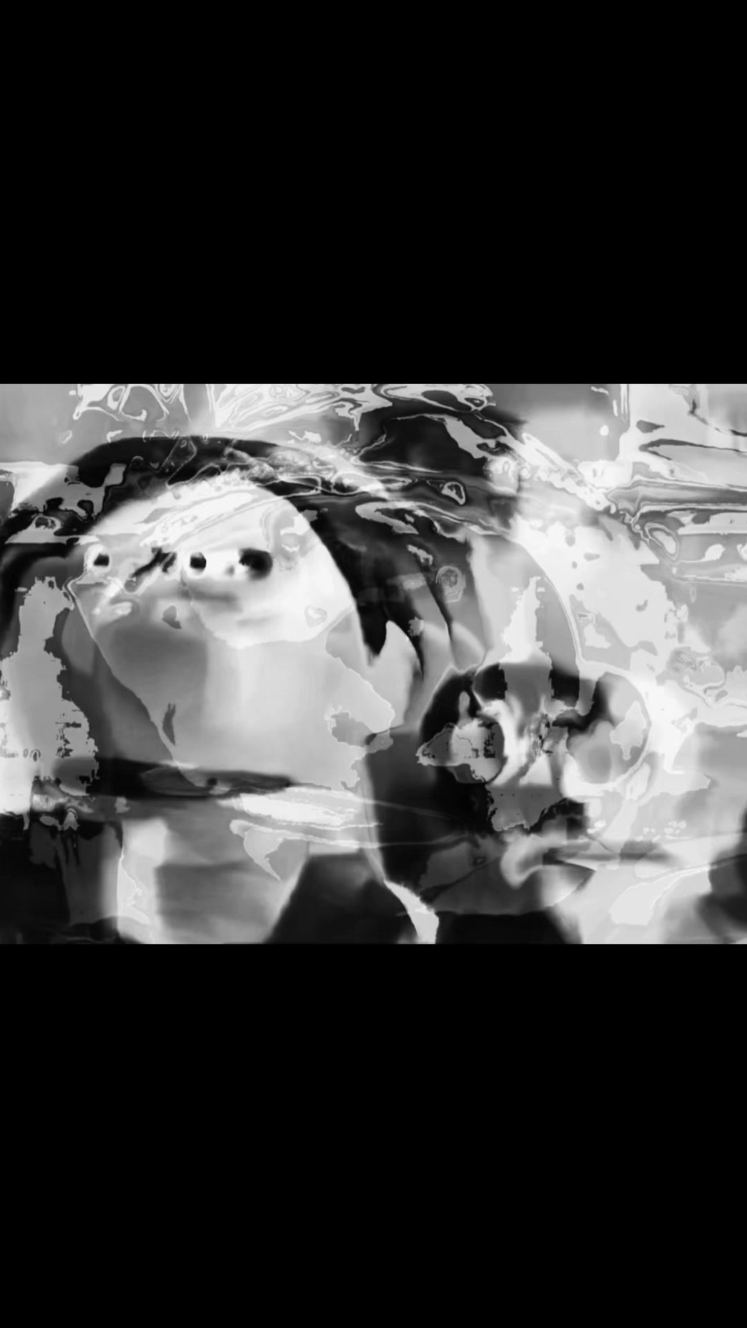@𓏽⑅ 𑄜ᦓ𝒞𝛂𝓇 𓉸ྀི
