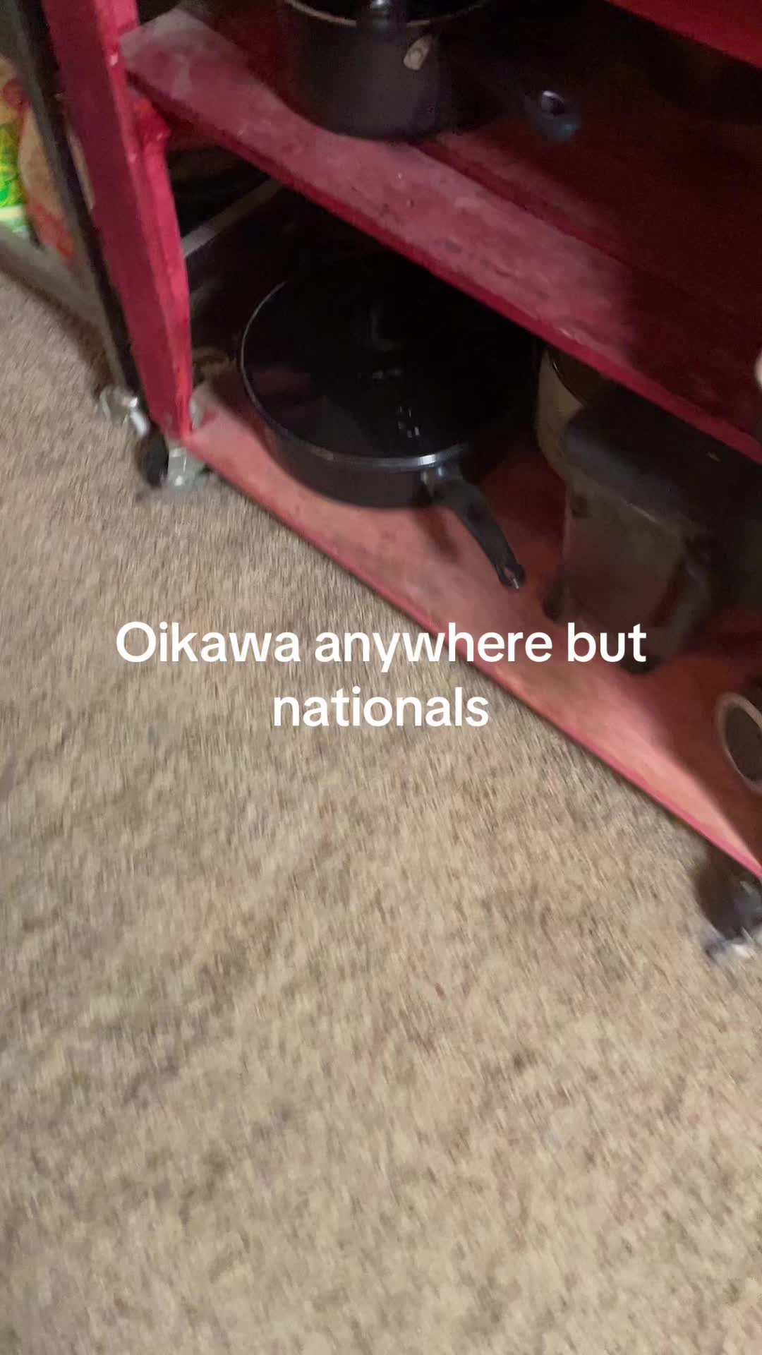 @oceana307