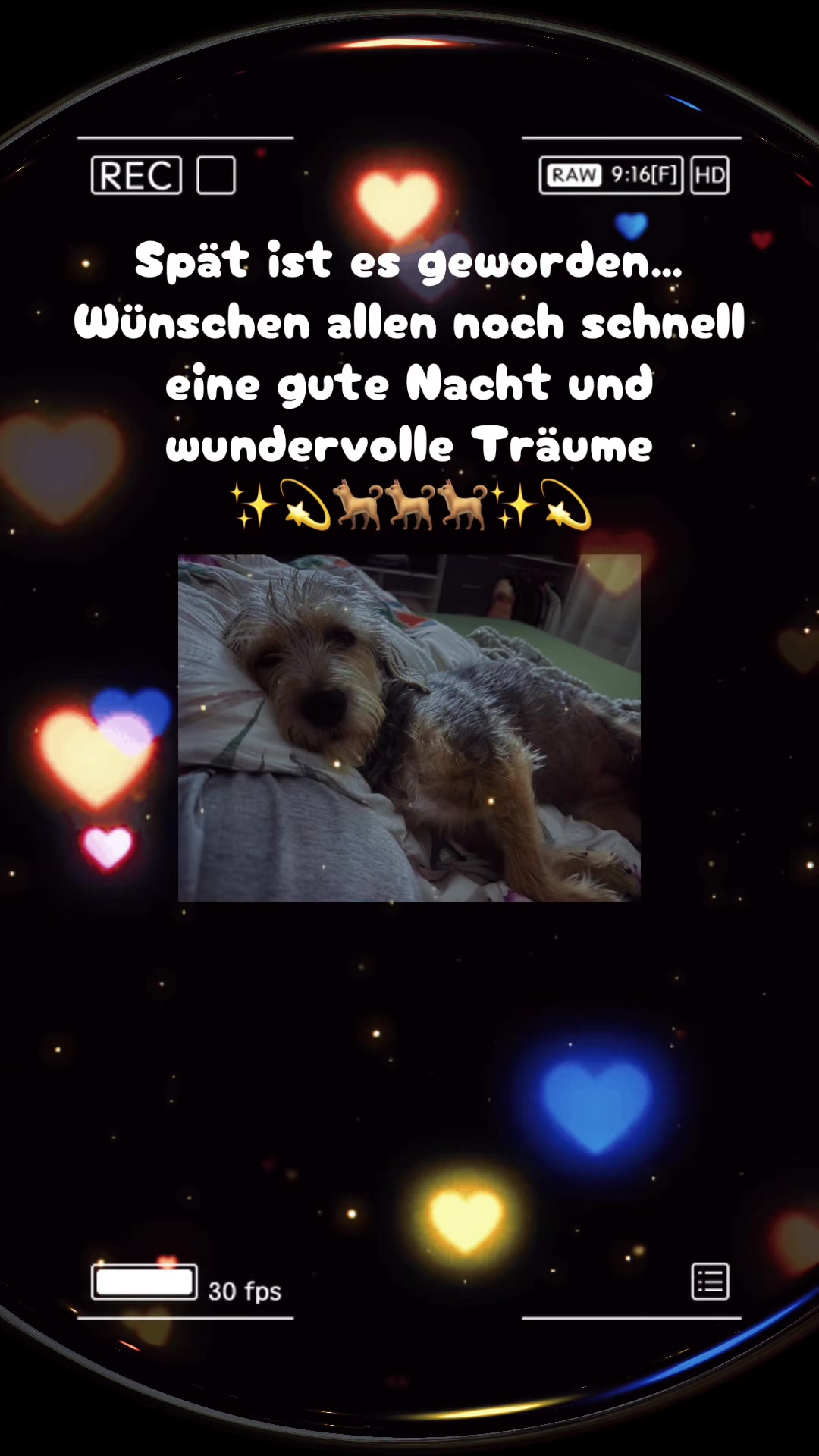 @💙 Chaos Rudel 💙