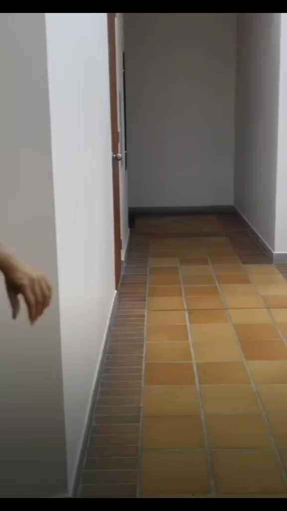 @Gimmidnuke