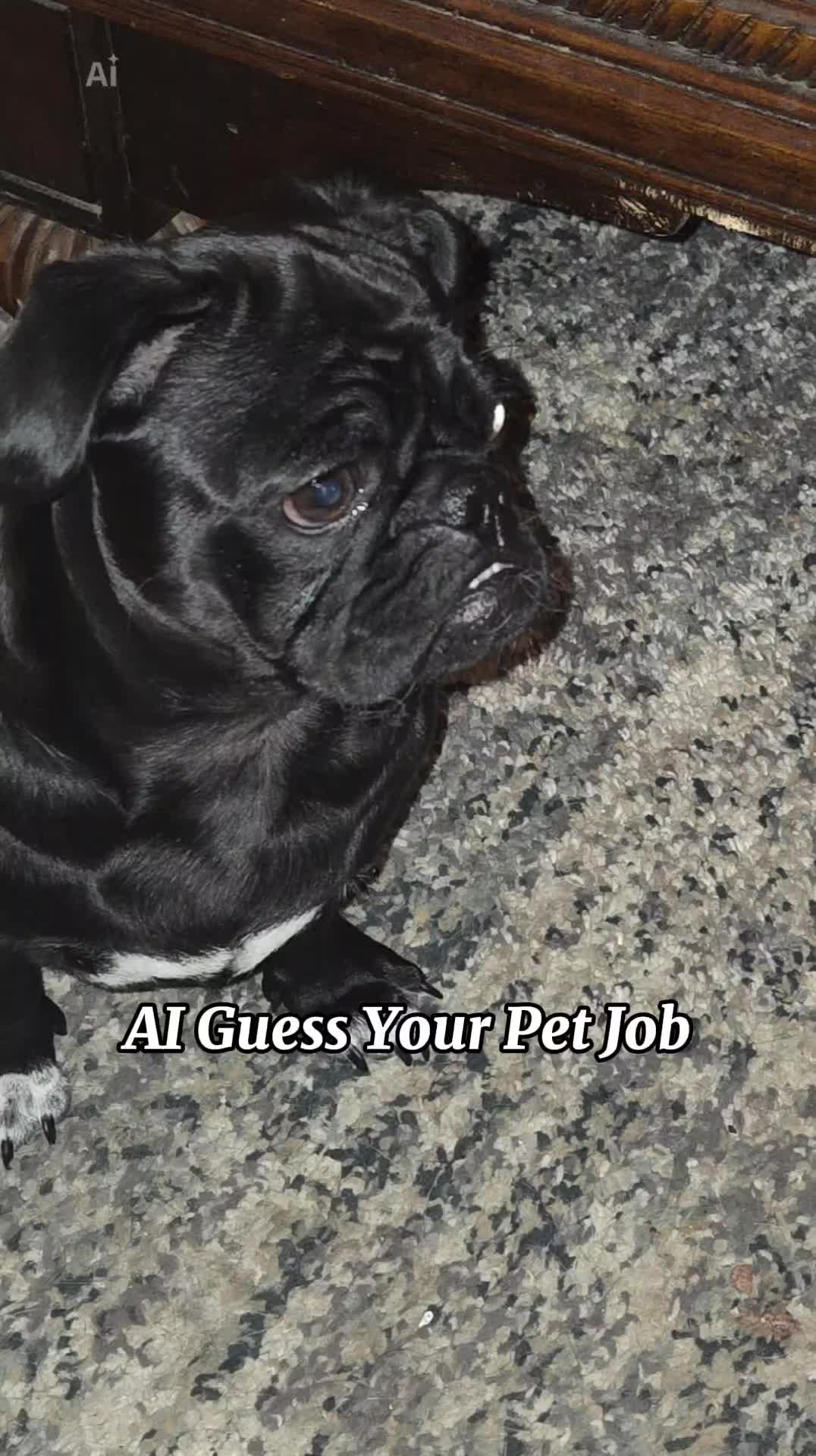 @Beckster