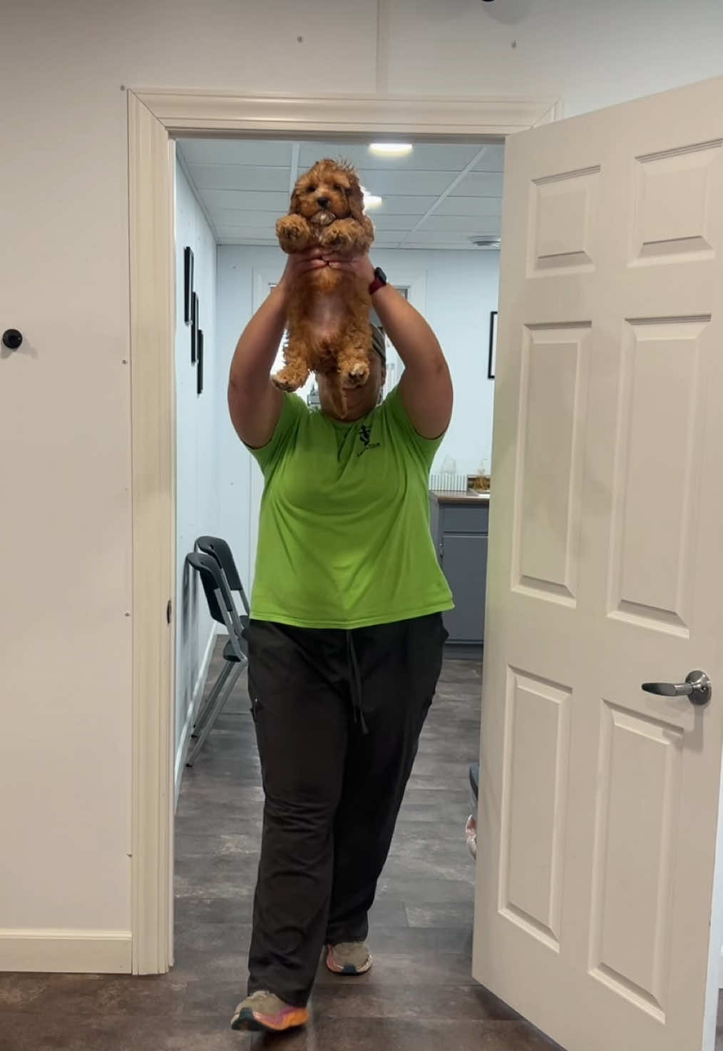 @Lake View Vet