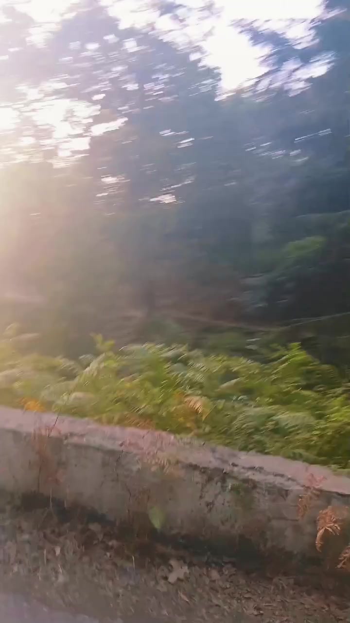 @M&ocirc;ha L'annabi du 13🇩🇿