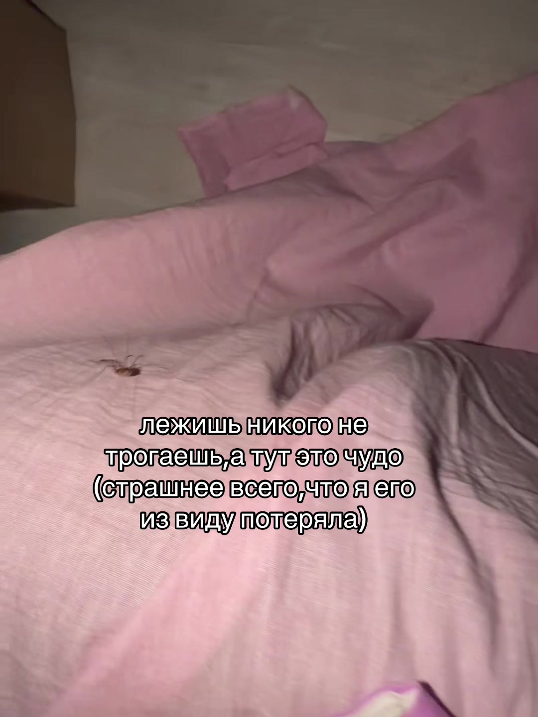 @тгк:ckkkkk17