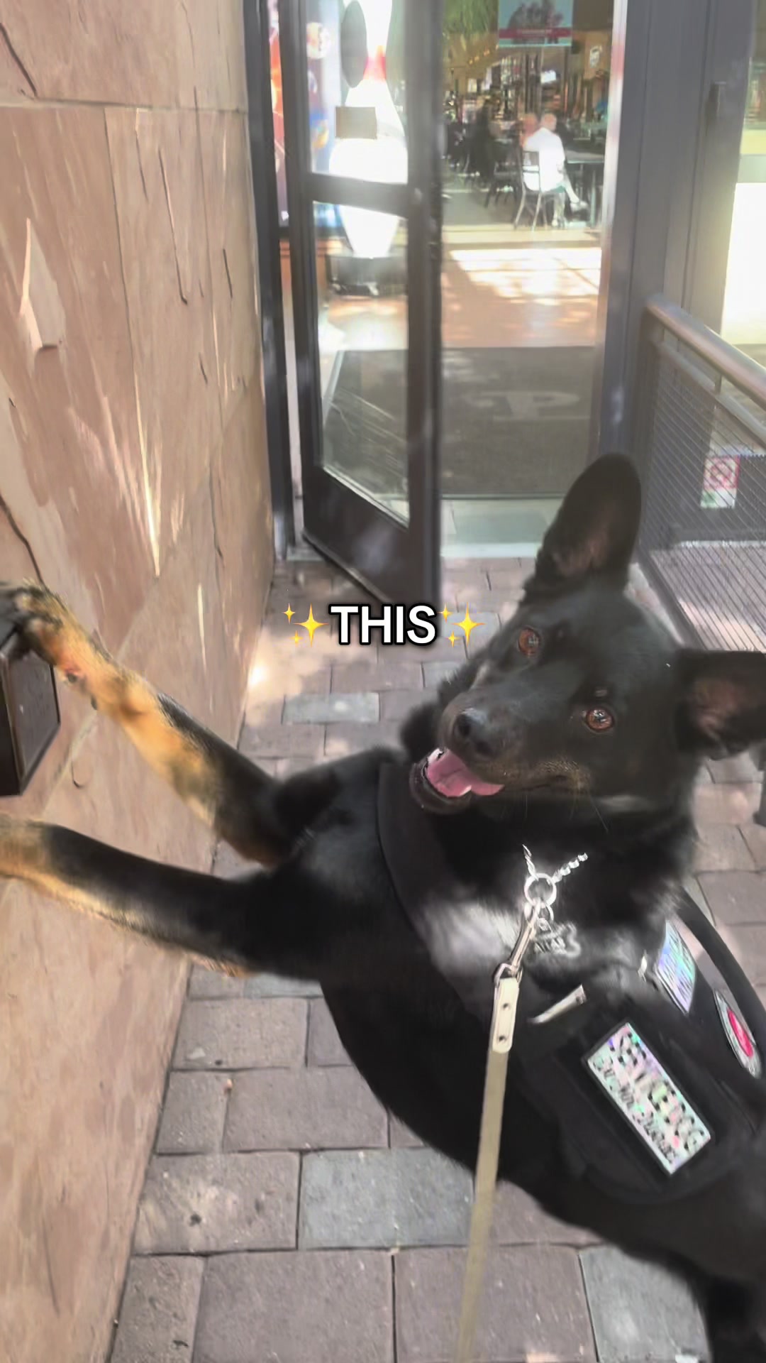 @lex 🐺⛓️