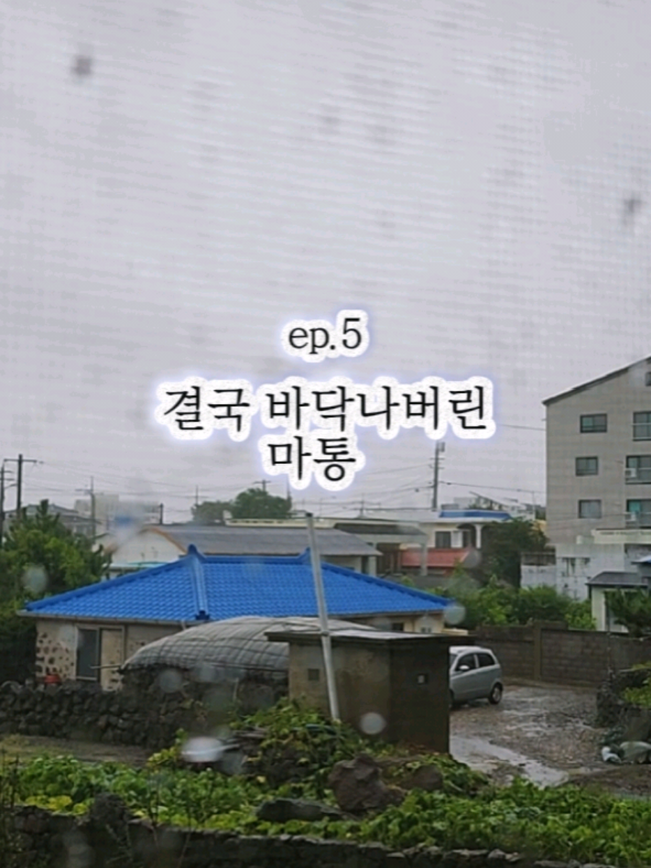 @진심먹거리