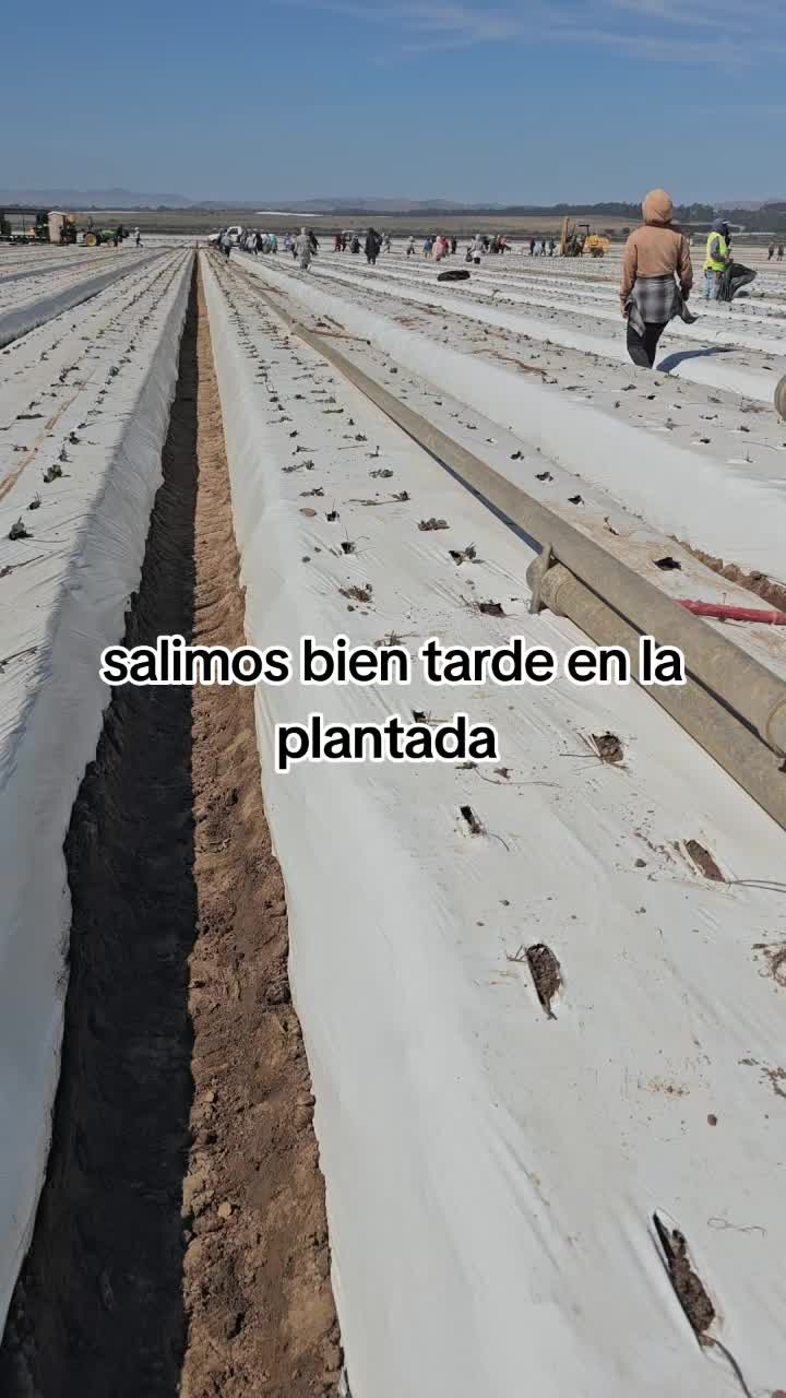 @🇲🇽🐦&zwj;⬛🪺VASQUEZ🚚🌪💎