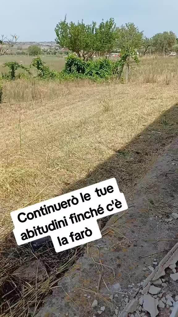@caterinanicastro31