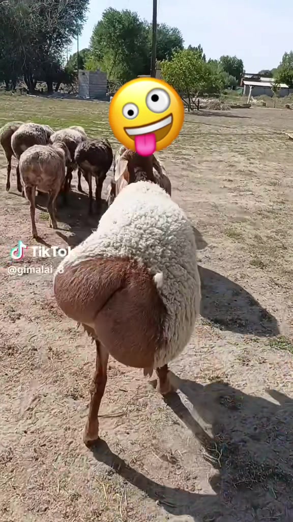 @Roberto_93