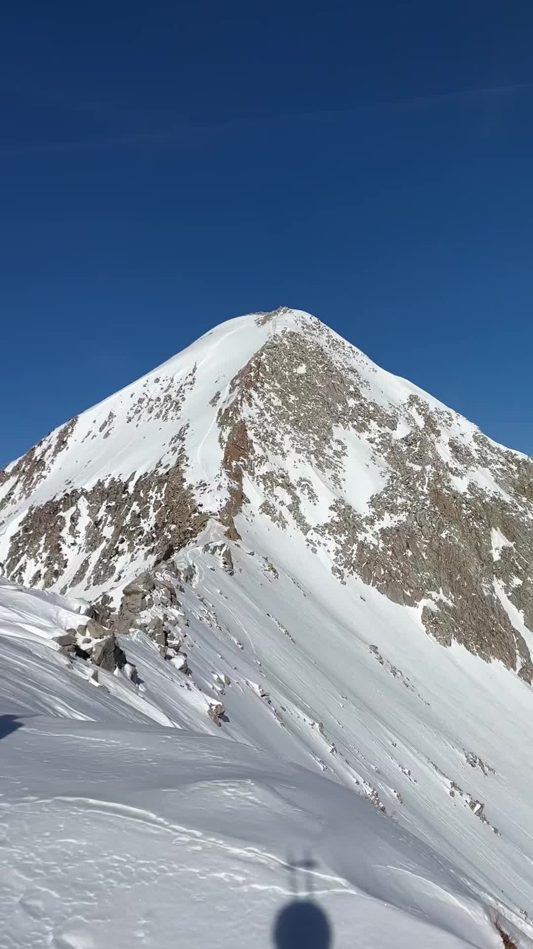 @bpdfilms