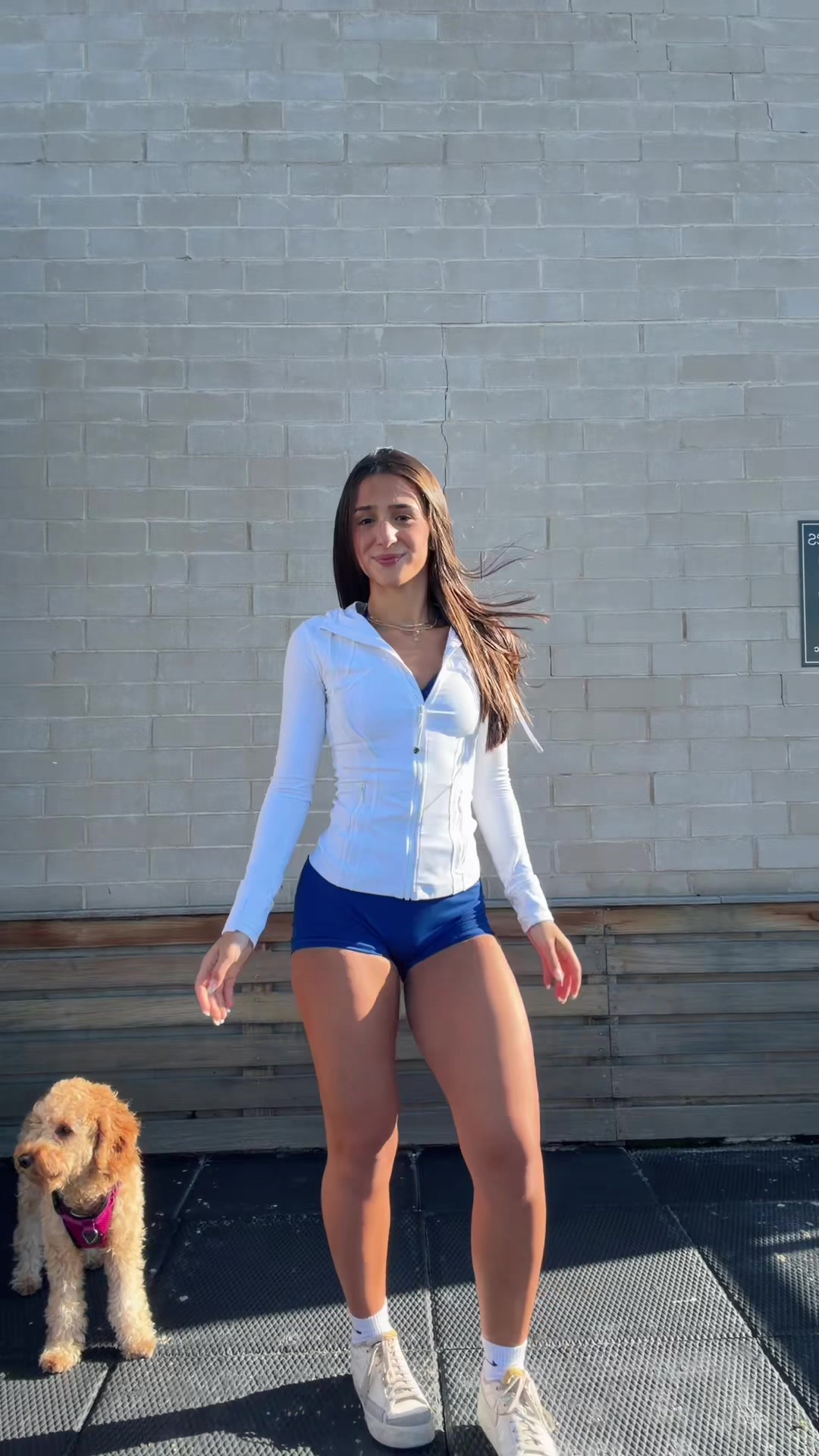 @PARDISS