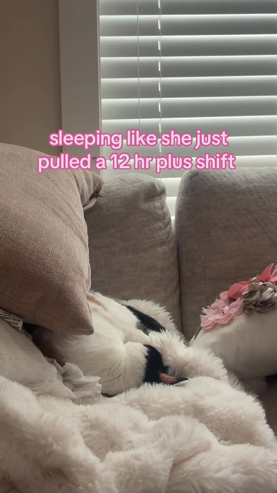 @Mimi