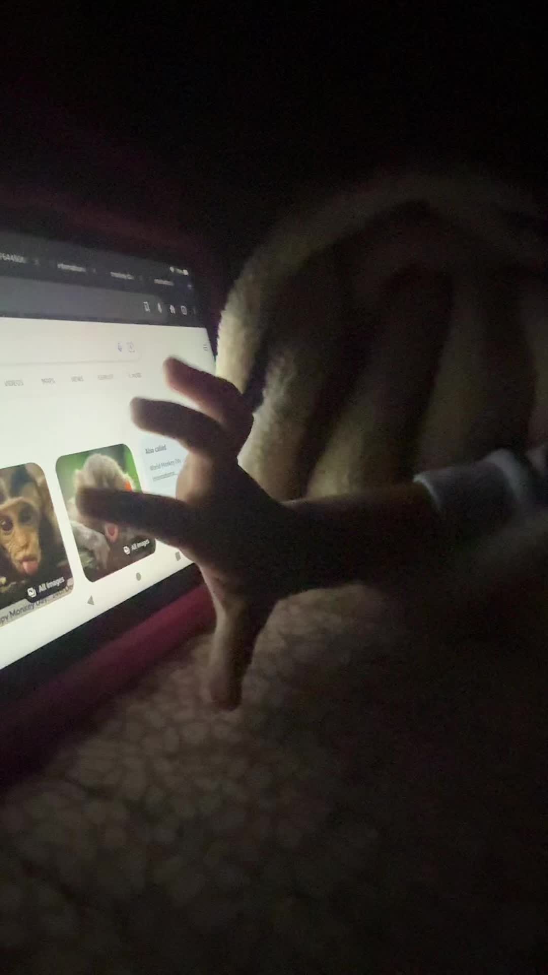 @arisssleon214