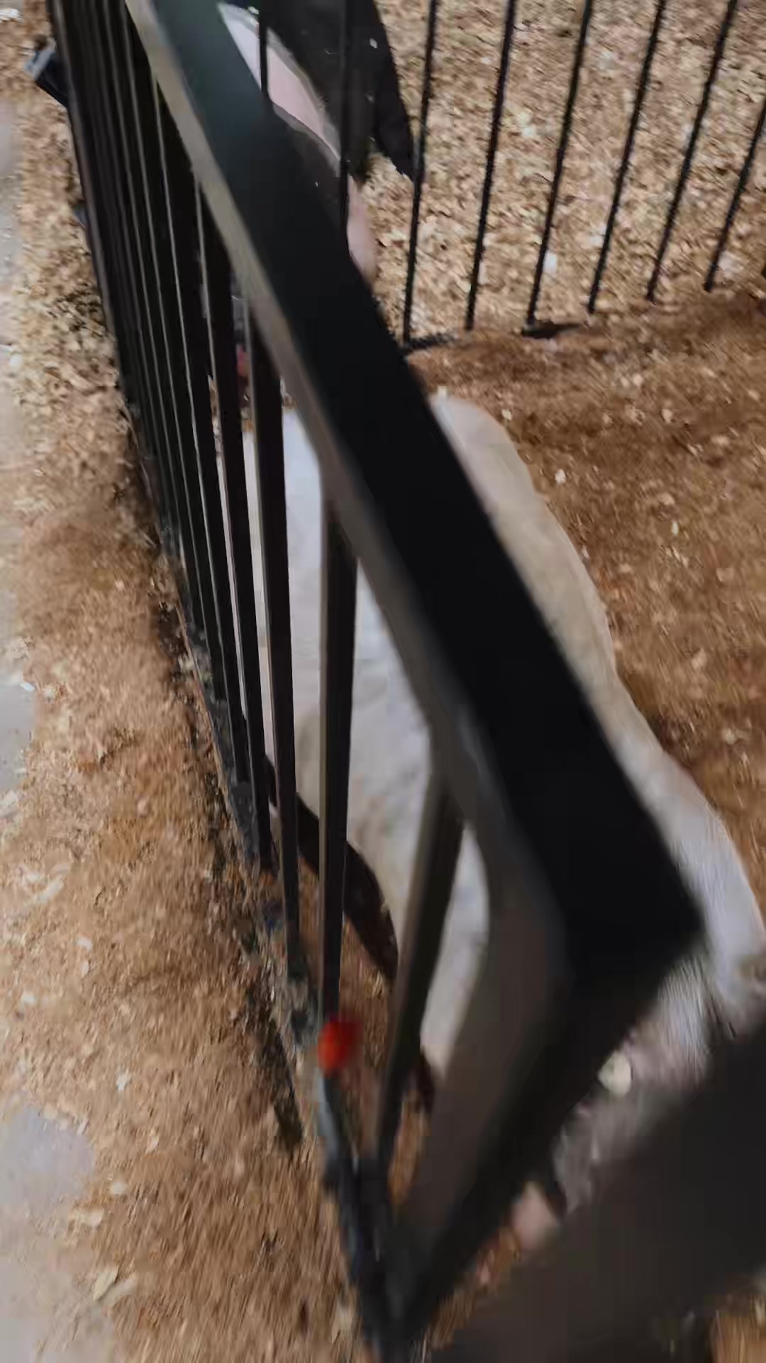 @KG