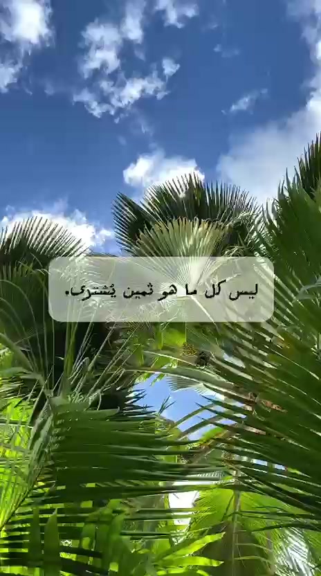 @Wehbe Daily Juice