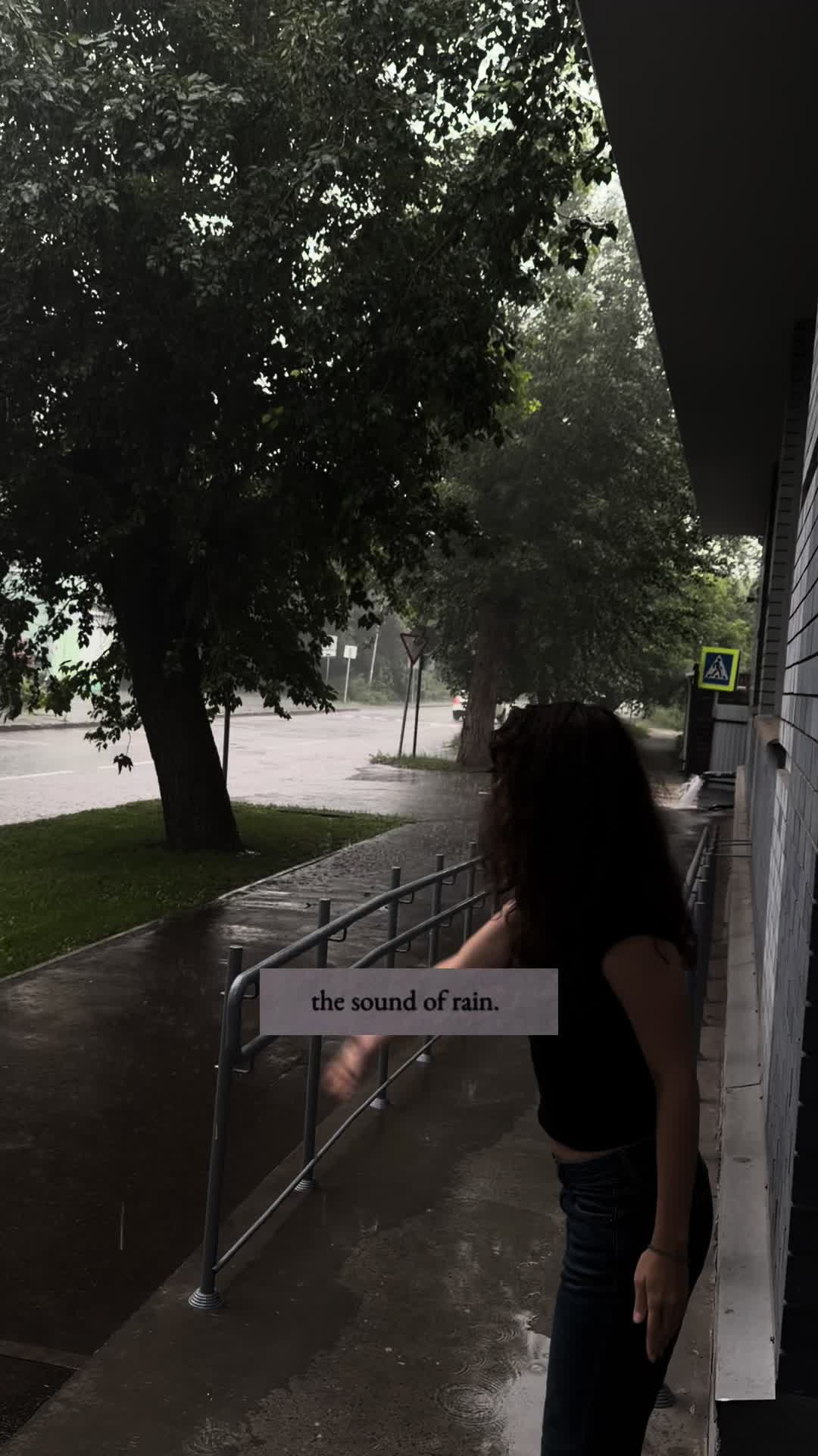 @кот нуар