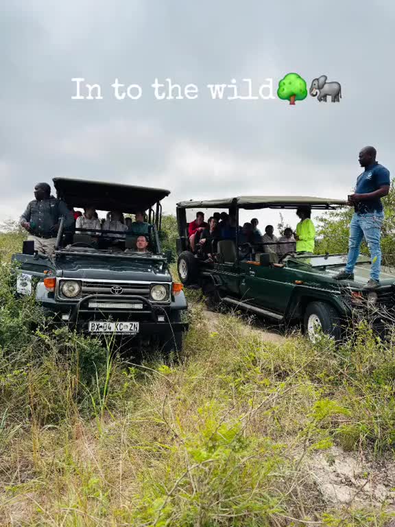 @galaxyforestlodge