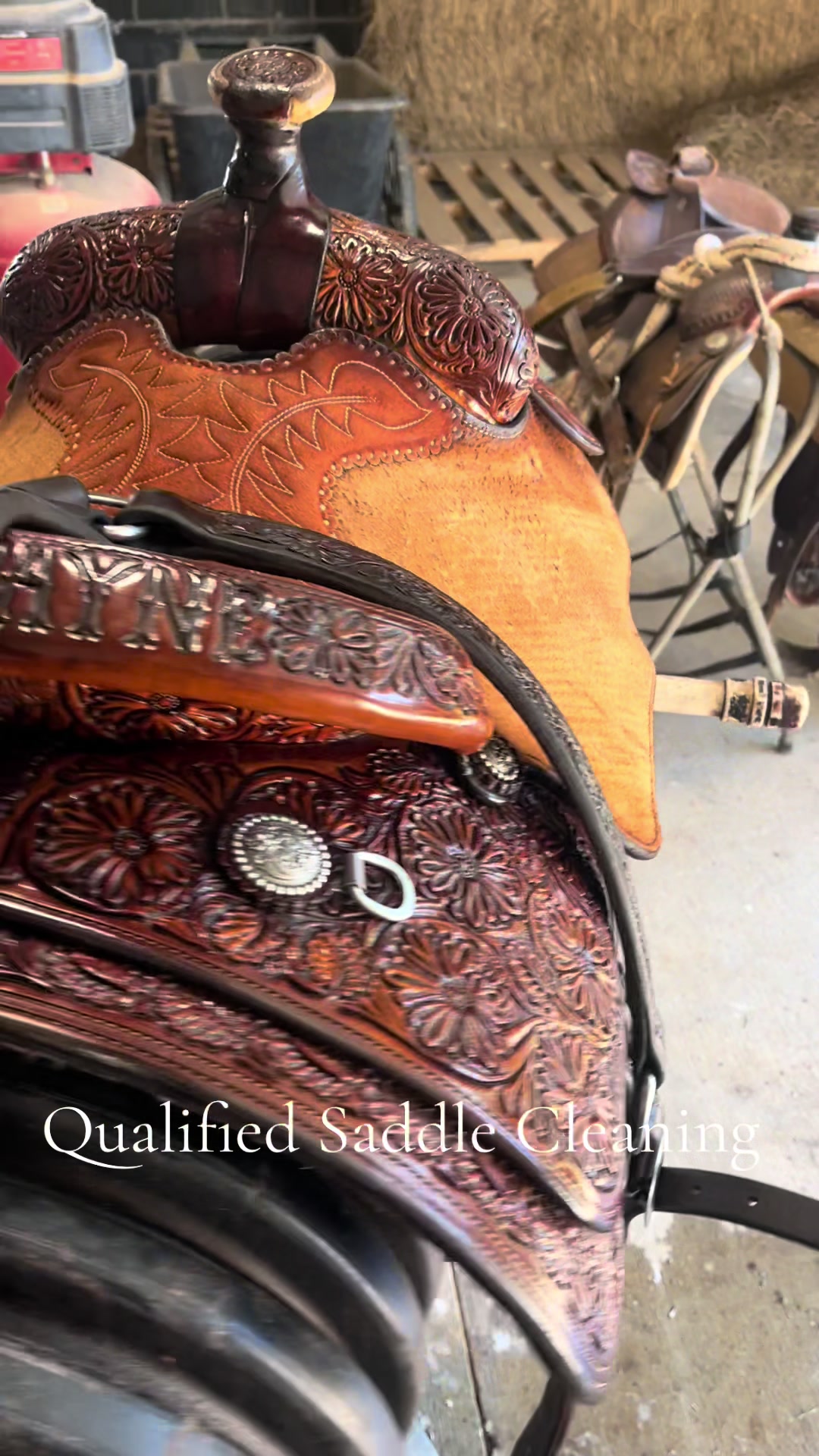 @Qualified Saddle Cleaning