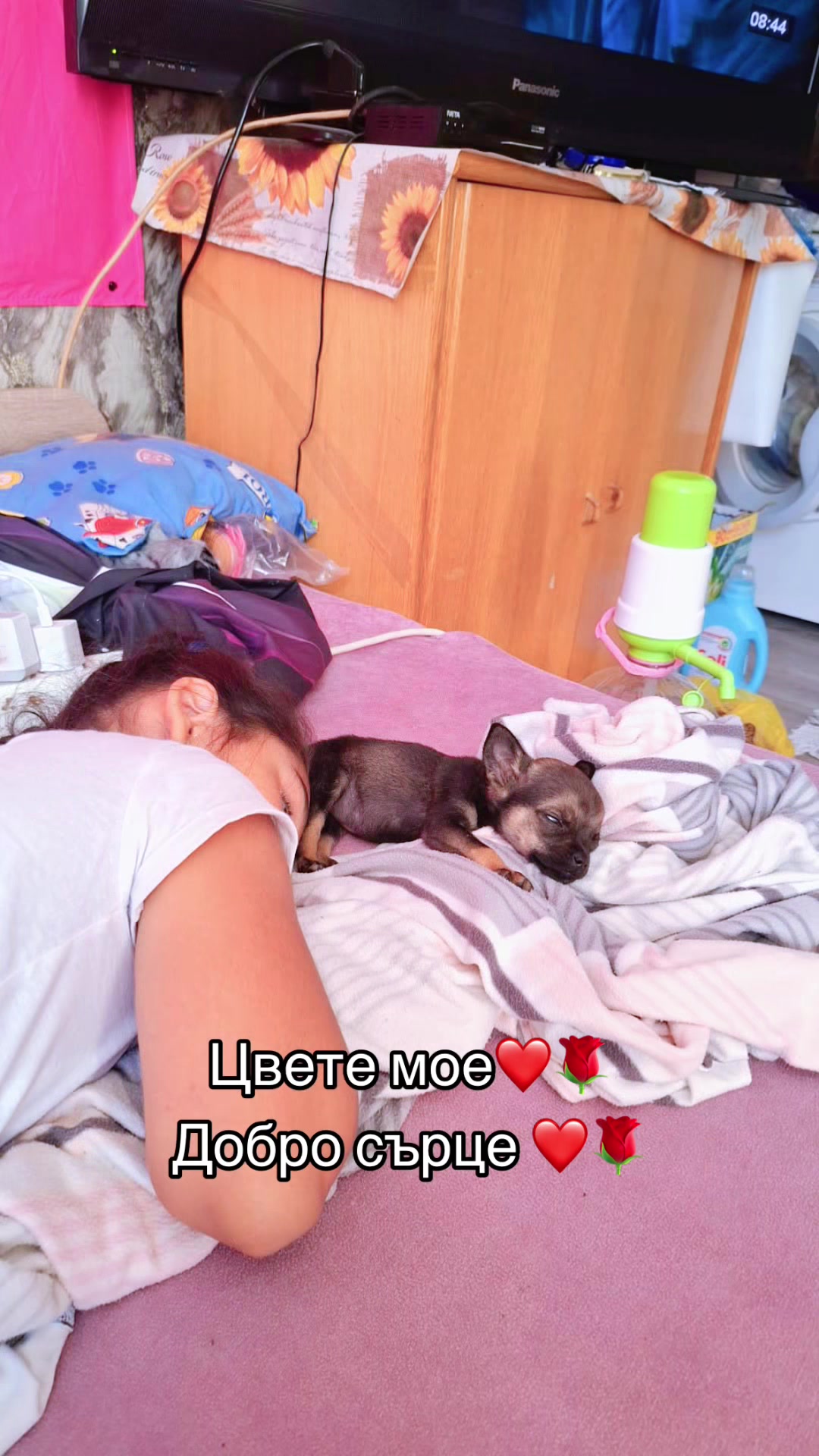 @Малвина Миткова