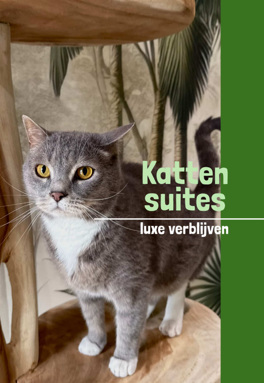 @HuisdierenhotelDeHeggeWeert