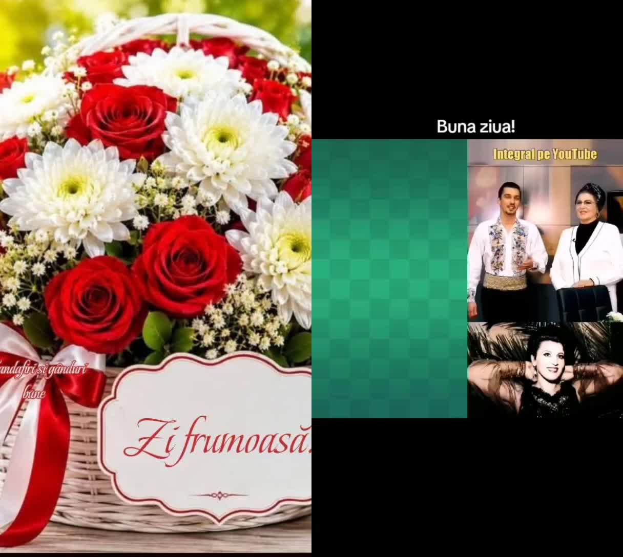 @Ruxandra Borcea