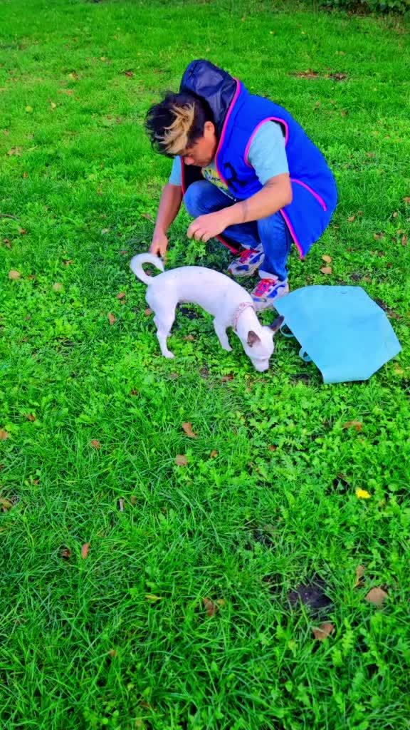 @Avin purja