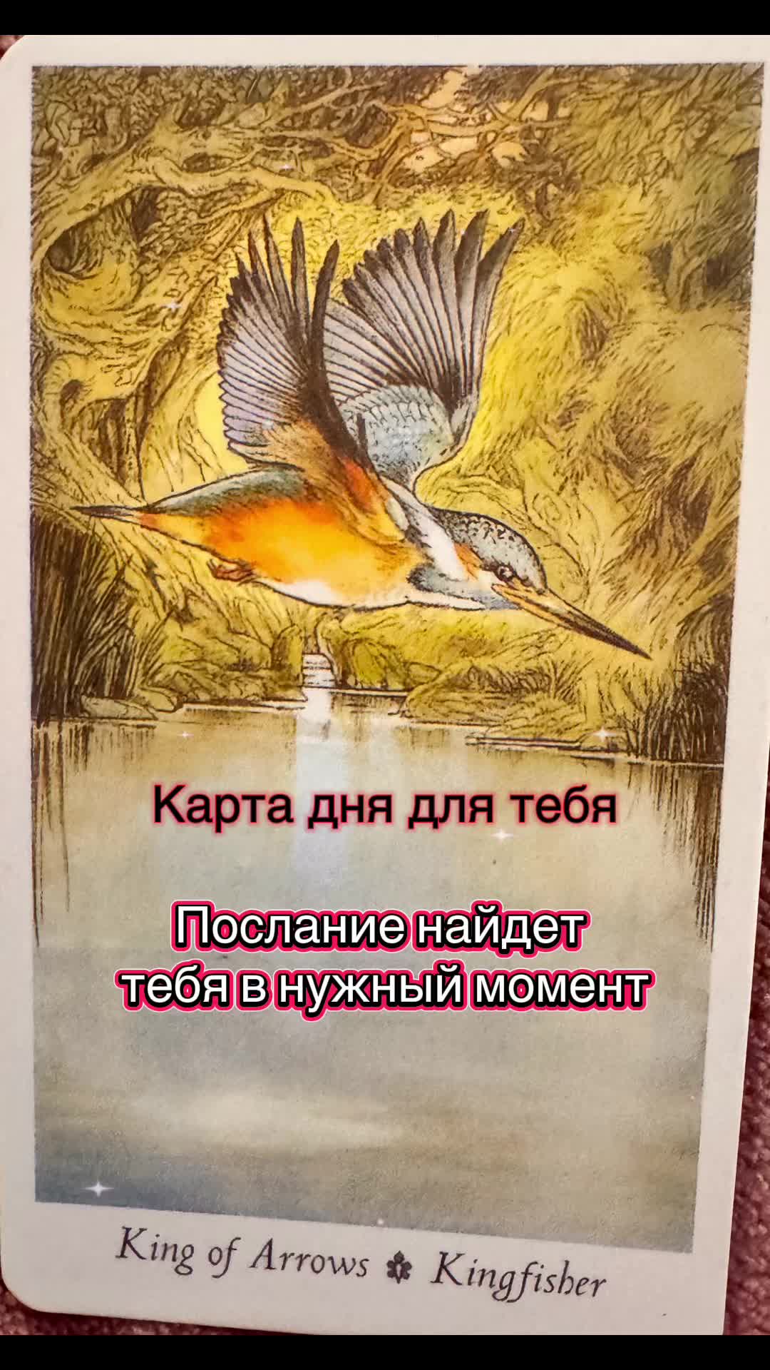 @🌿лесная ведьма🌿frejamagic
