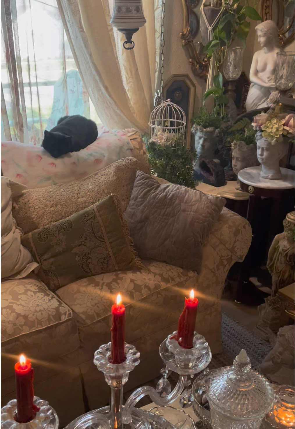 @Maximalist Maiteelacubana
