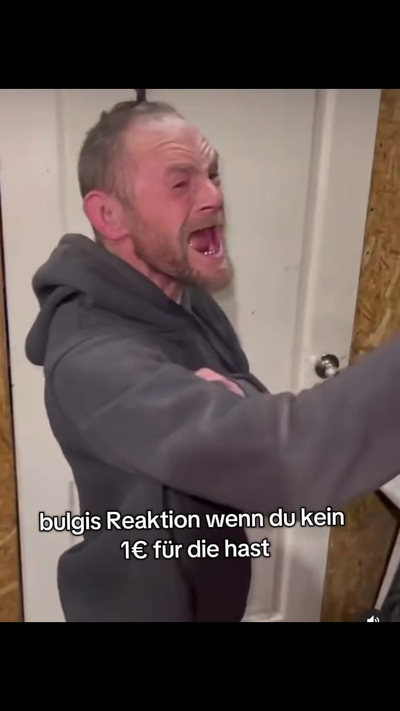 @geprüfter bulgi