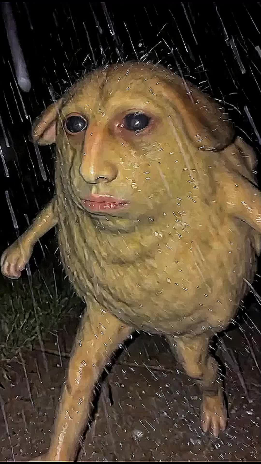 @jon mud