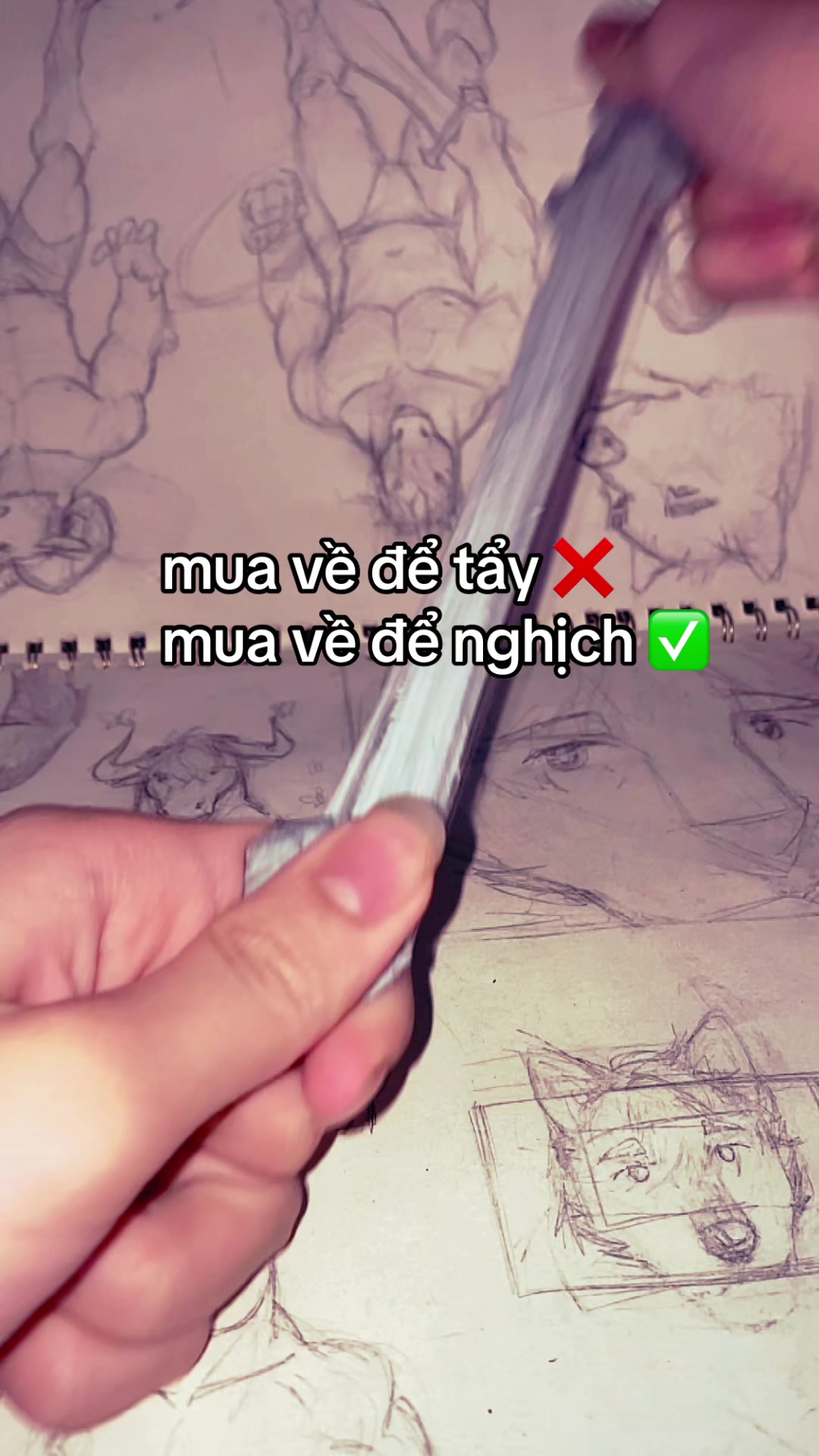 @meizydou