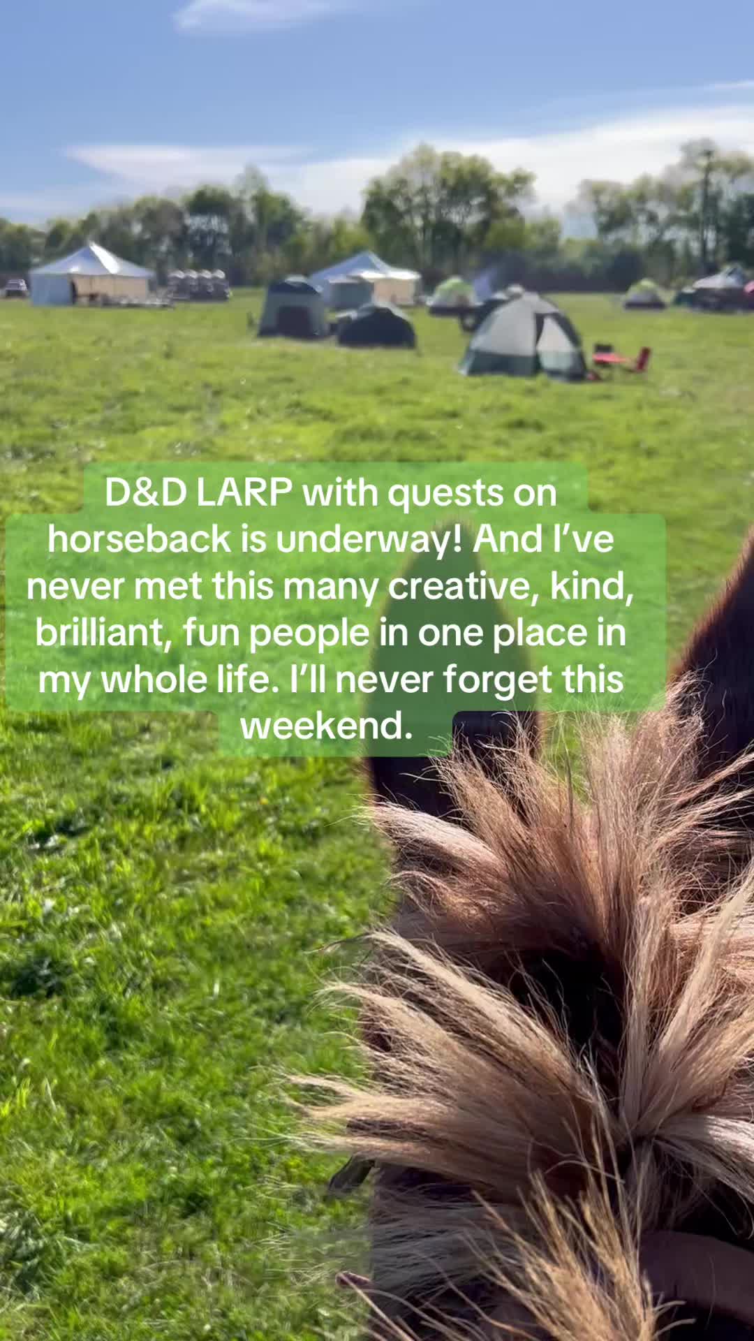 @SaddleSnaps