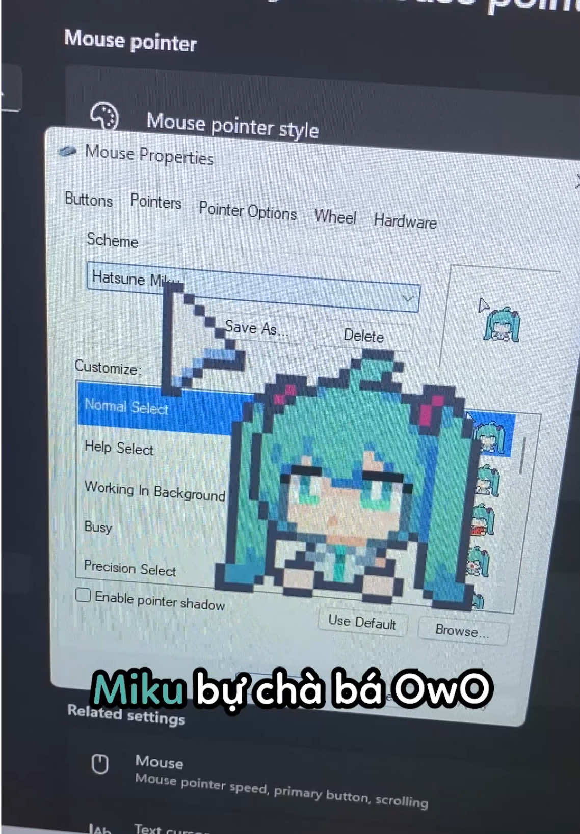 @.mizu