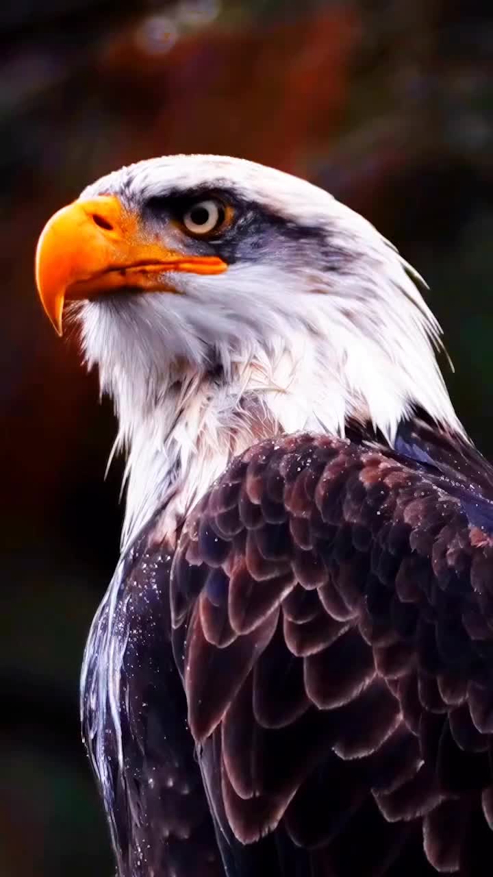 @motivation