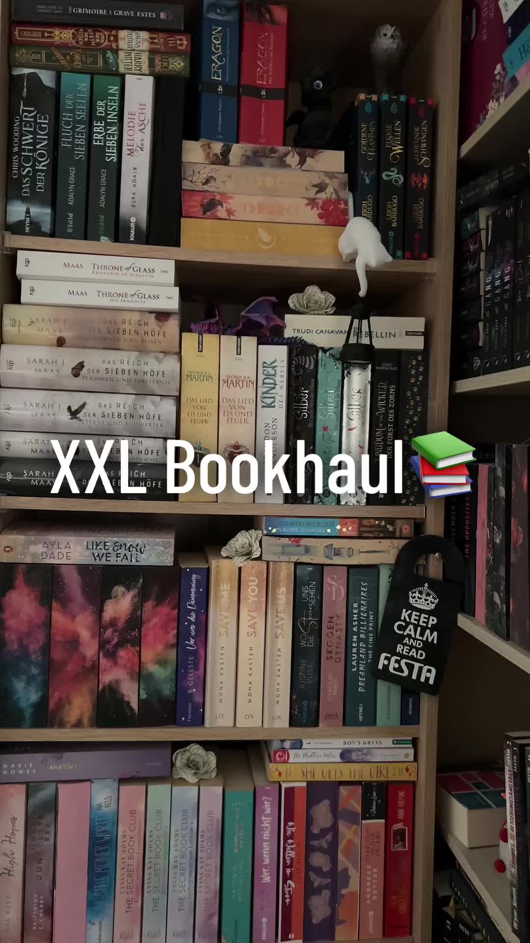 @Cats & Books🐈📖