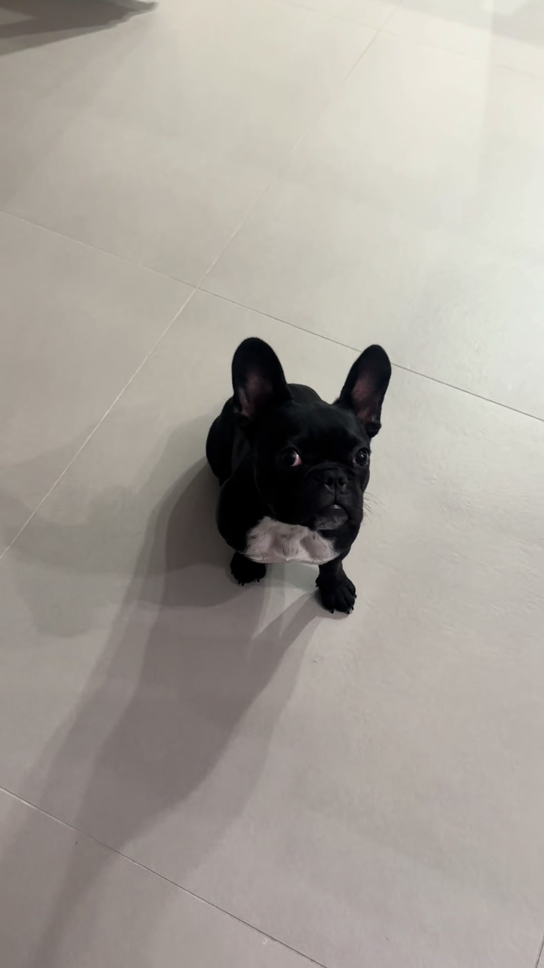 @Bullo_mal&ugrave;