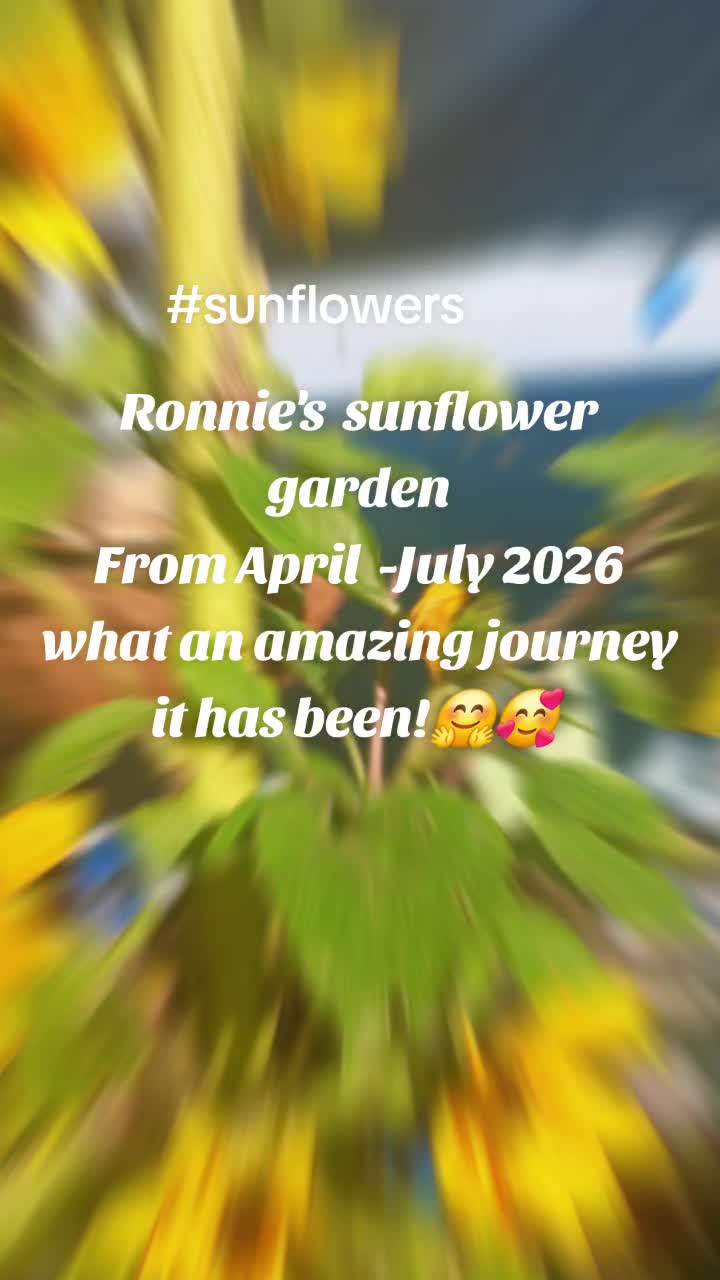 @Ronnie's garden🍅🫑🥬🥒🌻🌺