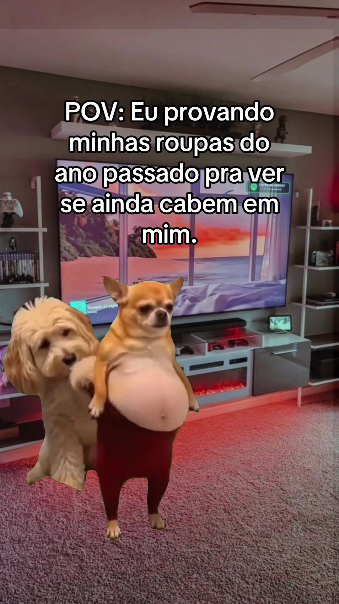 @tababadeira
