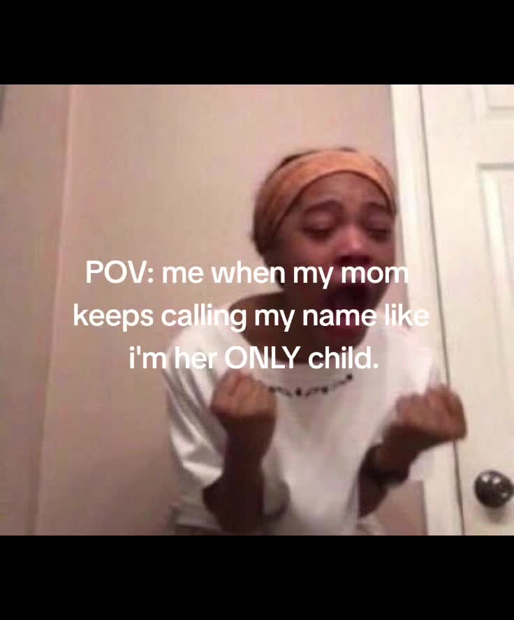 @🦭