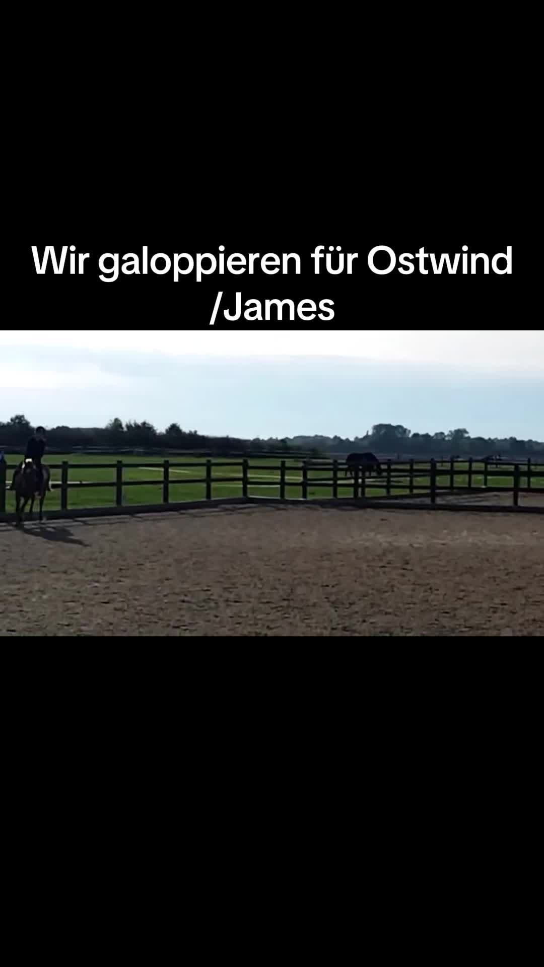 @C&auml;cilia_5