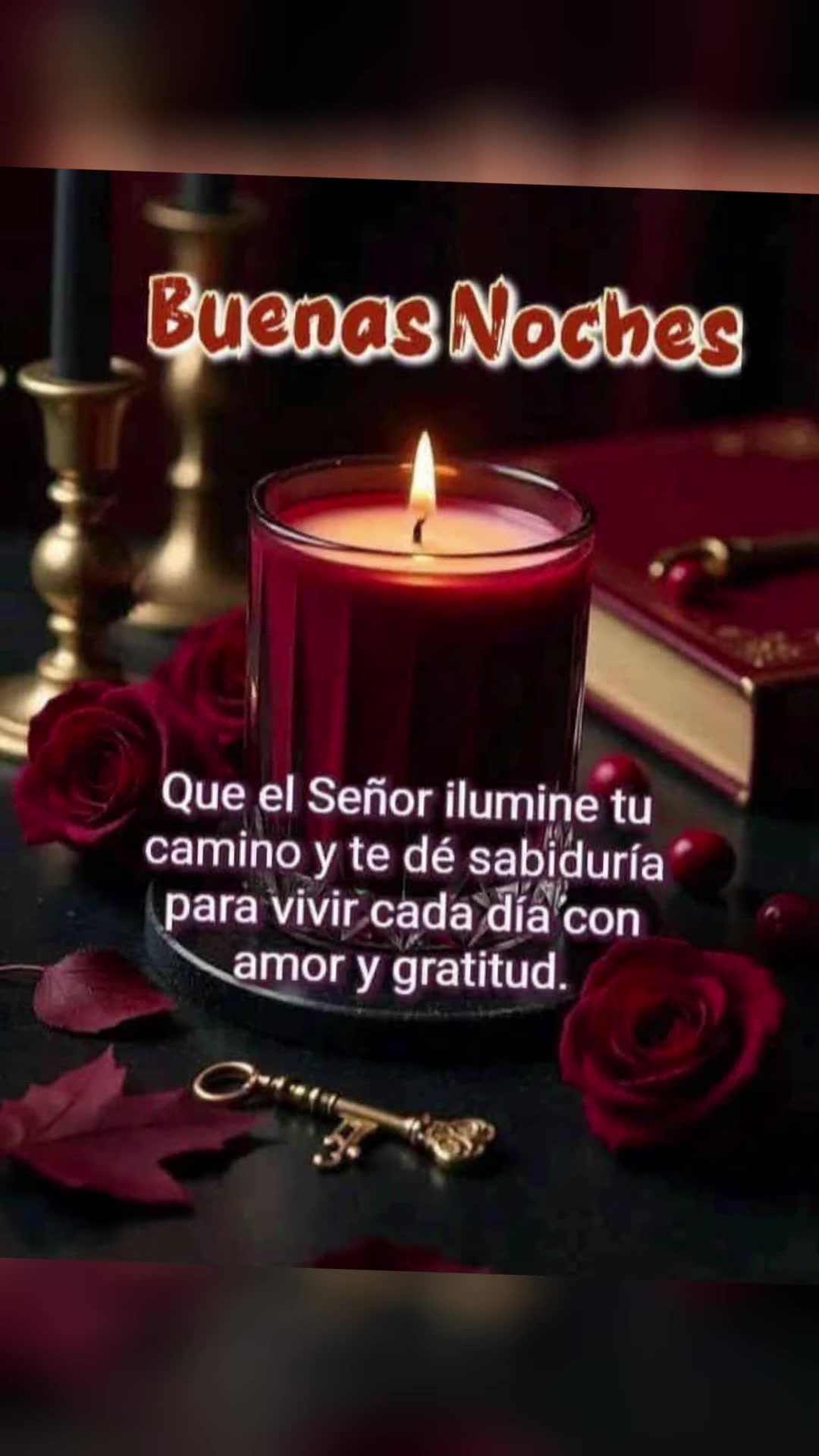 @elvirasvg