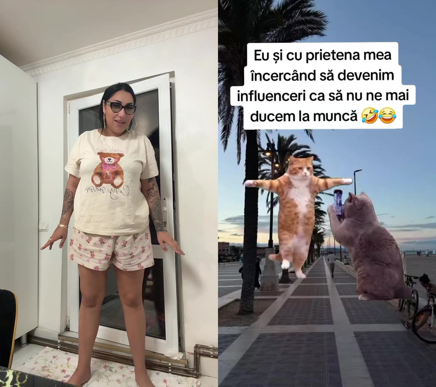 @anne_tigroaica32