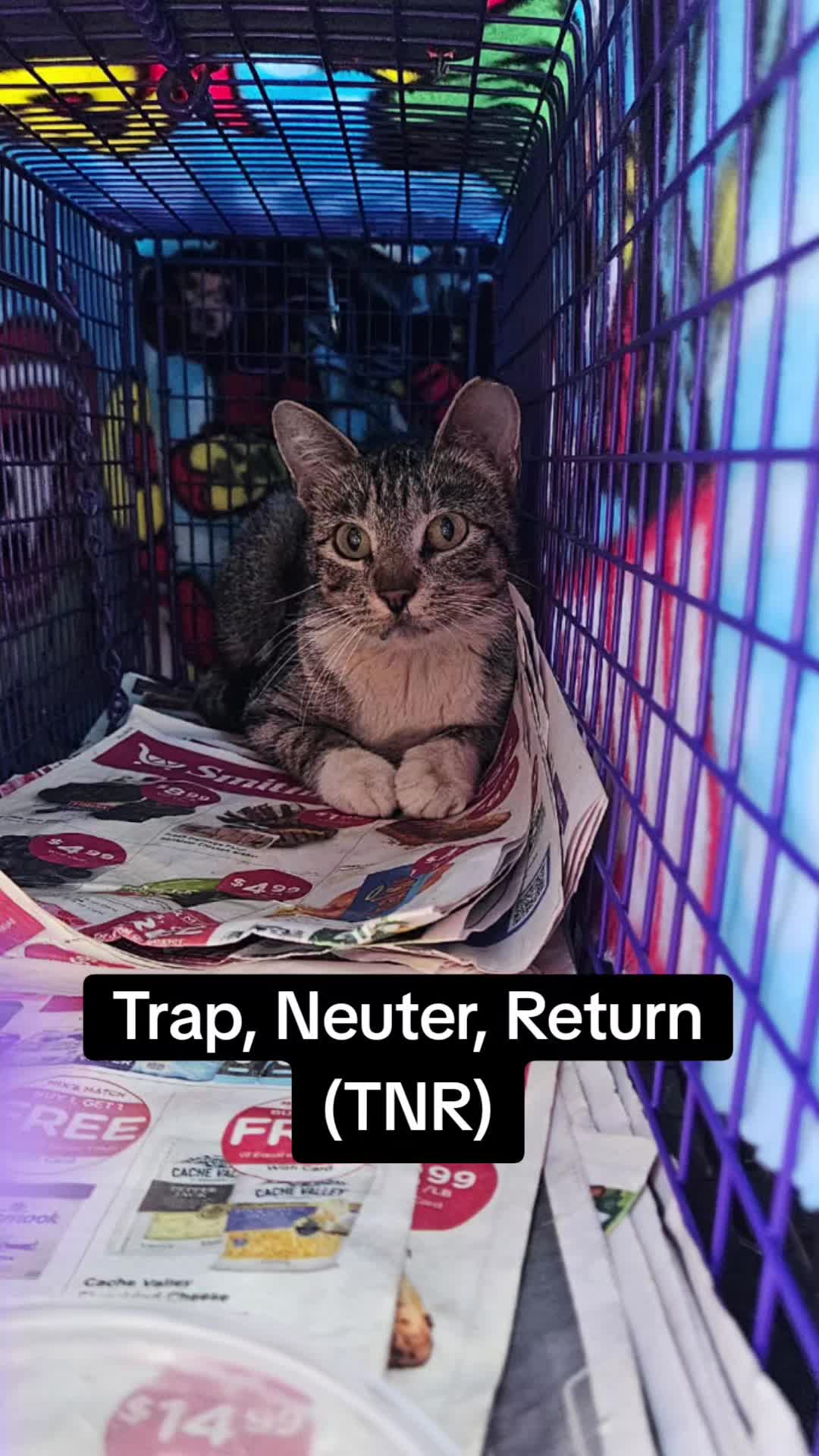 @UtahCatTrapper